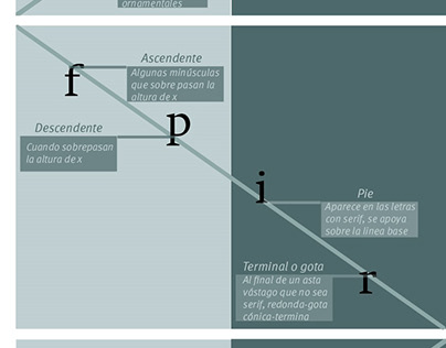 Anatomía tipográfica