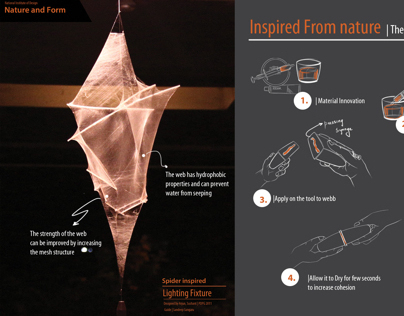 Biomimicry | Inspired form Spider Web