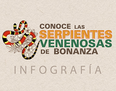 Infografía Serpientes venenosas de Bonanza