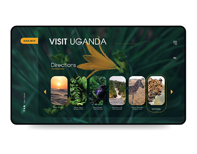 Visit Uganda Home page UI design