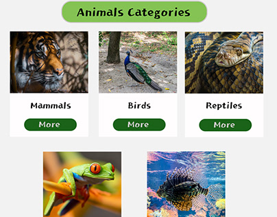 Central Zoo Website Home Page