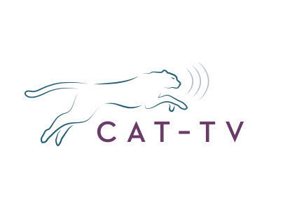 Catamount Access Television - Branding