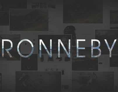 Ronneby - High - Performance WordPress Theme