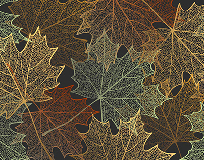 Autumn skeleton leaves