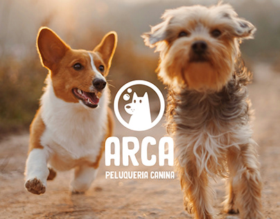 ARCA - Branding