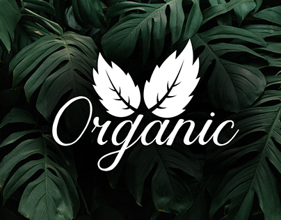 Organic Logo Design - Mint Product Branding