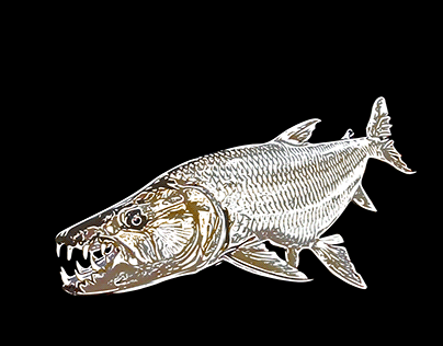 Goliath Tigerfish Design