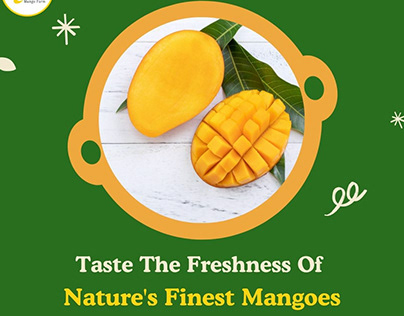 Buy Premium 100% Organic Mangoes in India