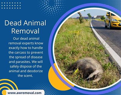 Dead Animal Removal Miami