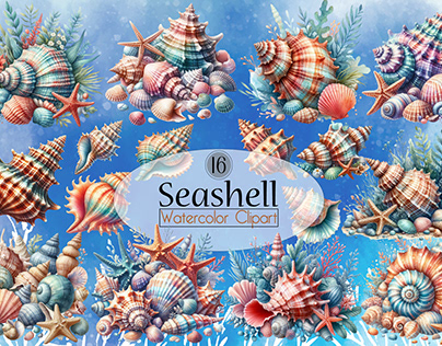 Watercolor Seashell Clipart