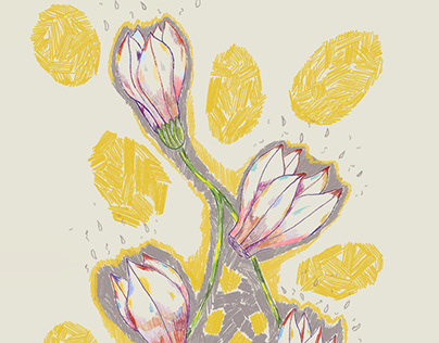 Cyclamen | Floral Design