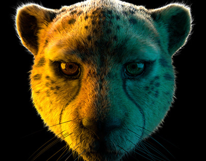 3d animal animation 3d animal model realistic fur xgen