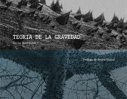 Project thumbnail - Fotolibro -Teoria de la Gravedad - Leila Guerriero