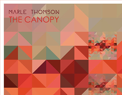 Artwork album The Canopy