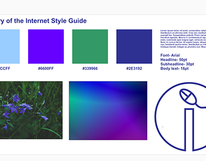 History of the internet Style Guide