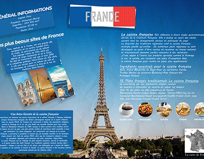 Research project about France