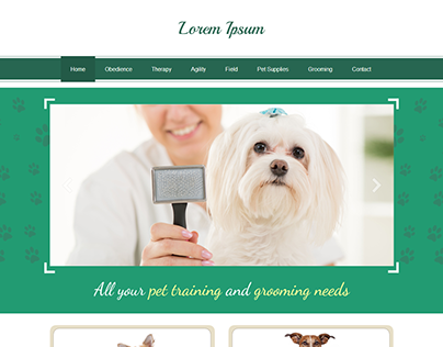 Pet Training and Grooming Services-Web Design
