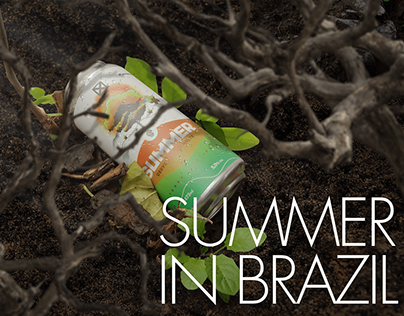 Summer in Brazil