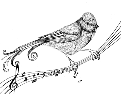 Singing Bird - Invitation Card
