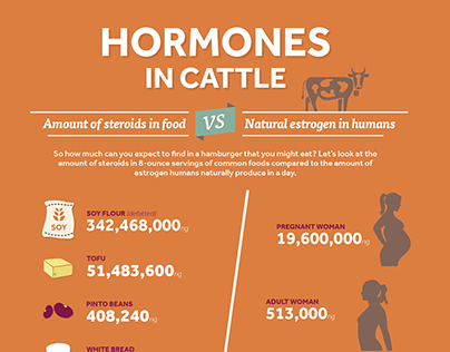 Hormones in Cattle