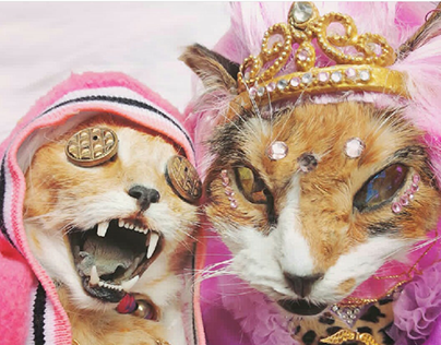 Pelusa Prrrfect Ángel y Pussy Cat- Erine Kawaii