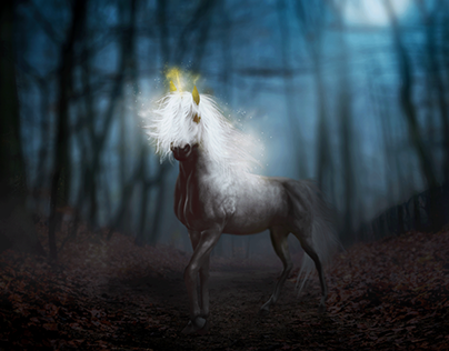 Unicorn in the enchanted forest
