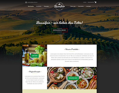 Bussifein Website Design