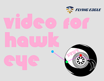 Hawk Eye Video