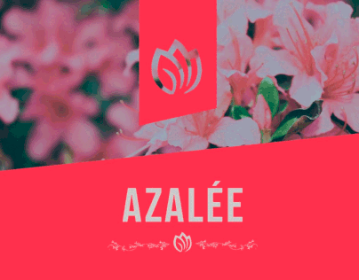Branding Azalée