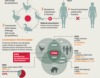 Infographie grippe H7N9 (Le Matin 2013)