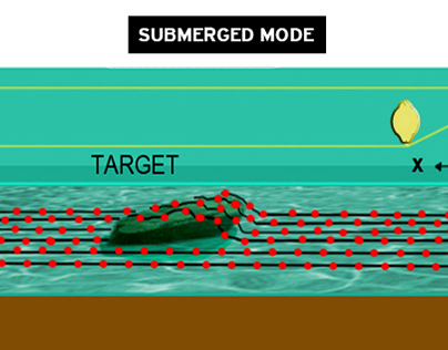 Marine ERT Grid (illustration for report)