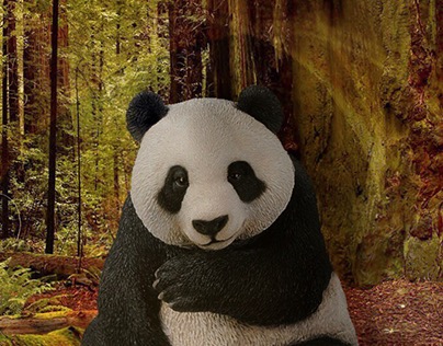 Transported panda in the forest