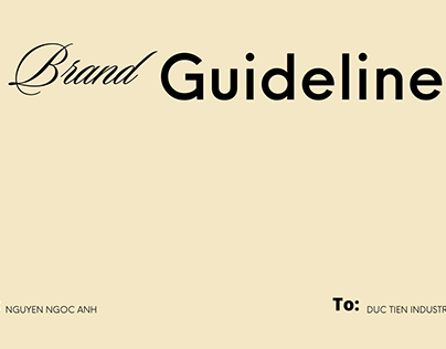 DTI brand guideline