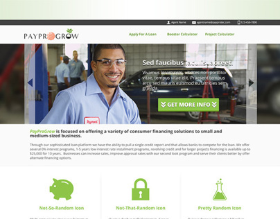 PayProGrow Homepage Design