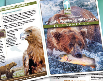 Yellowstone Park Foundation brochure and envelope