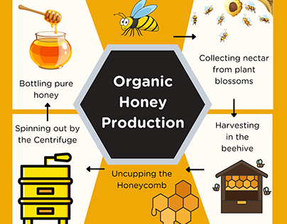 Organic Honey Production