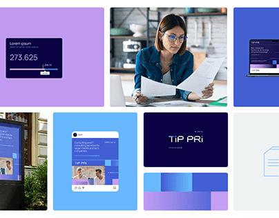 Project thumbnail - TipPri Technology Consulting Branding