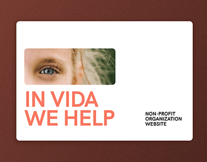 Vida Website Design | non-profit organisation website