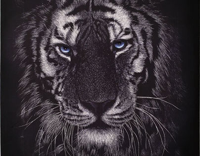 tiger scratch on canvas