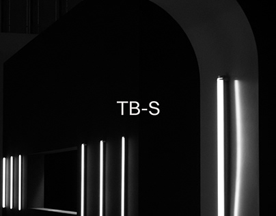 TB-S Portfolio