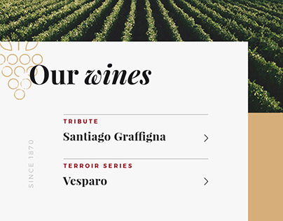 Graffigna Wines | Website