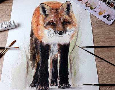 Red Fox Watercolor Painting