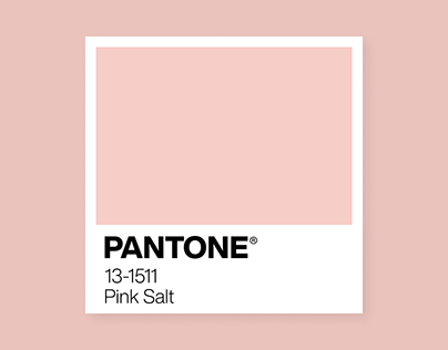 13-1511 Pink Salt