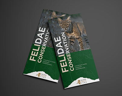 Brochure for Wildcat Conservation Nonprofit