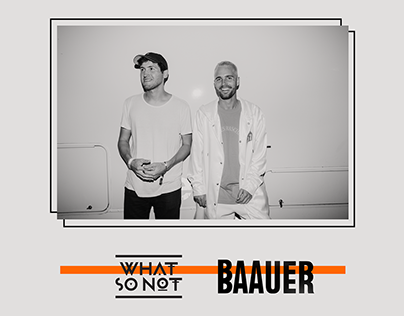WSN x Baauer Fall Tour Flyer