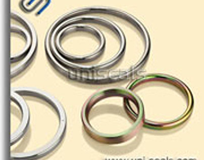Know about the Basics of Ring Type Joint (RTJ) Gasket