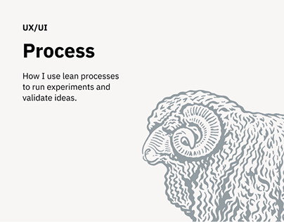 Lean process