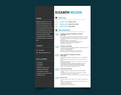 Info-graphic Resume