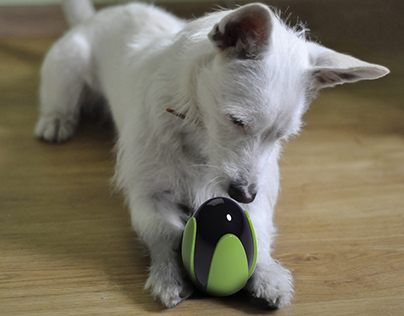 AMIGO - toy for your dog