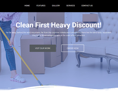 Clean wordpress website